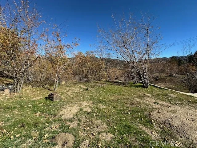 2379 Chicago Drive Running Springs, CA 92382