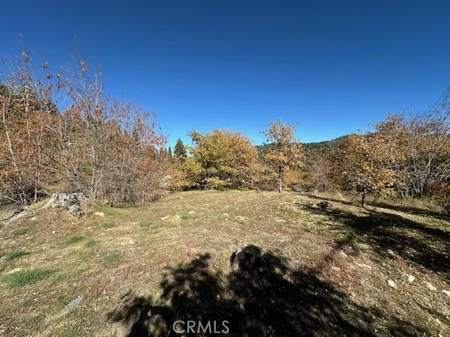 2379 Chicago Drive Running Springs, CA 92382