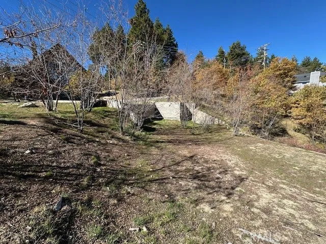 2379 Chicago Drive Running Springs, CA 92382