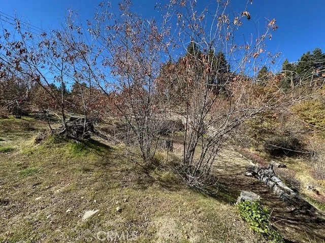 2379 Chicago Drive Running Springs, CA 92382
