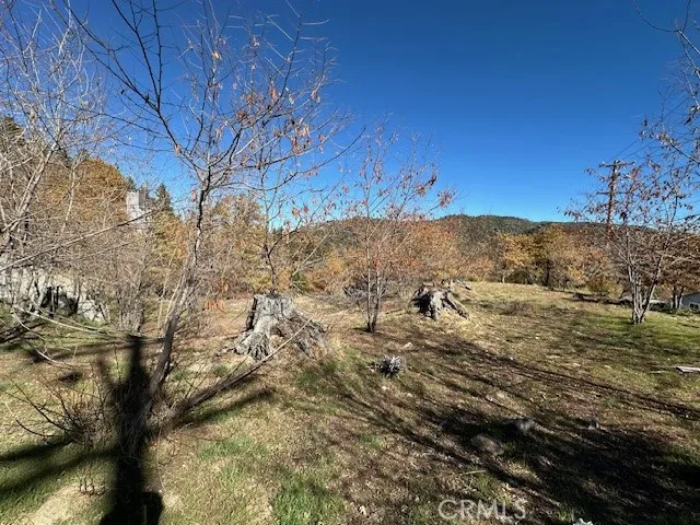 2379 Chicago Drive Running Springs, CA 92382