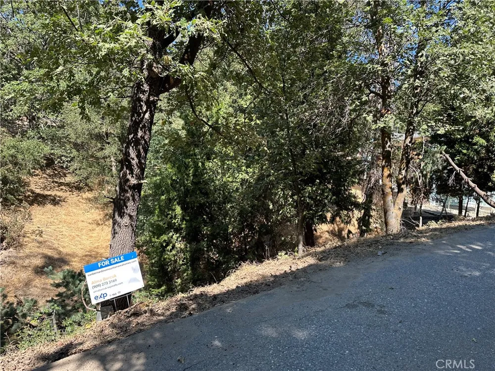 2379 Chicago Drive Running Springs, CA 92382
