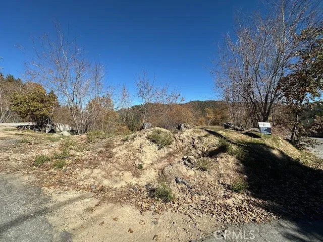 2379 Chicago Drive Running Springs, CA 92382