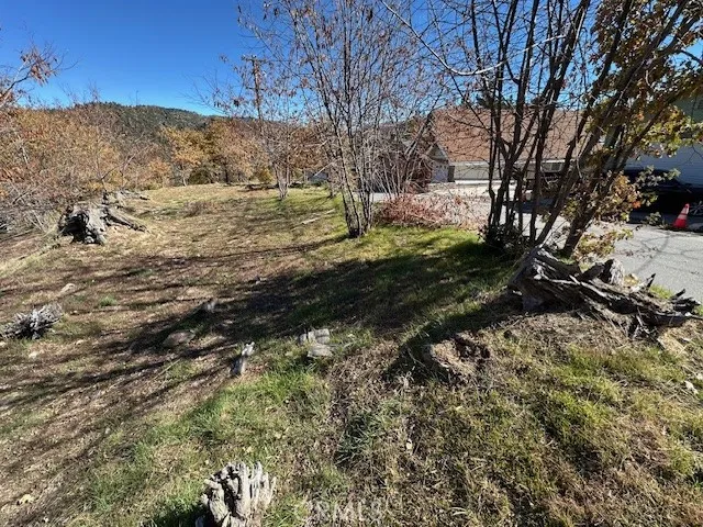 2379 Chicago Drive Running Springs, CA 92382