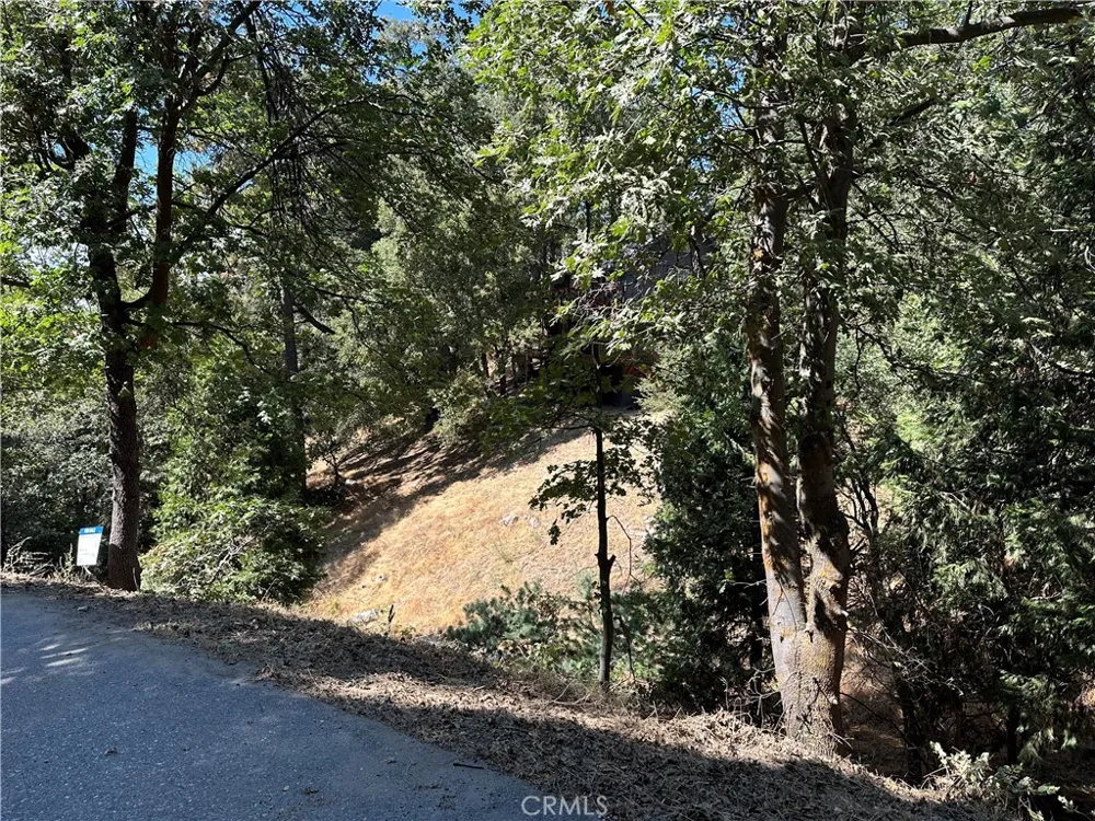 2379 Chicago Drive Running Springs, CA 92382