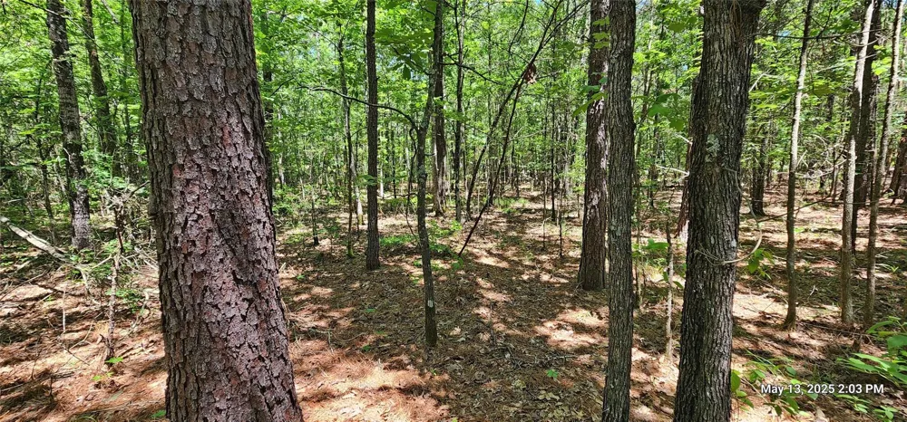 Cr 3233 E Clarksville, TX 75426