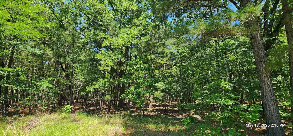 Cr 3233 E Clarksville, TX 75426