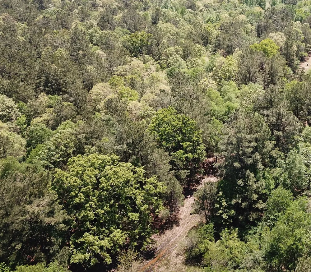 Cr 3233 E Clarksville, TX 75426