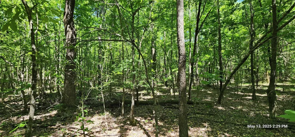 Cr 3233 E Clarksville, TX 75426
