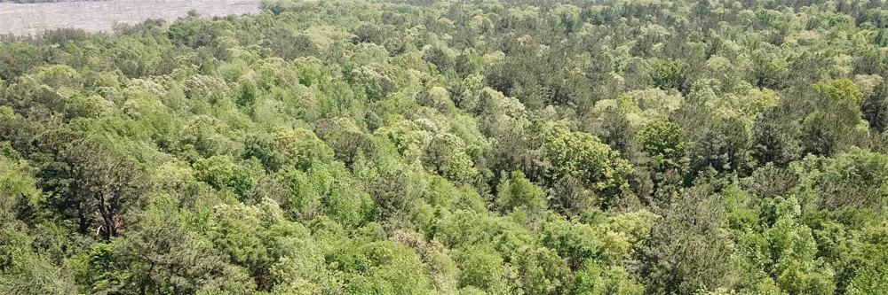 Cr 3233 E Clarksville, TX 75426