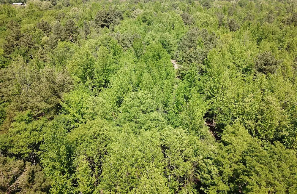 Cr 3233 E Clarksville, TX 75426