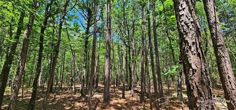 Cr 3233 E Clarksville, TX 75426