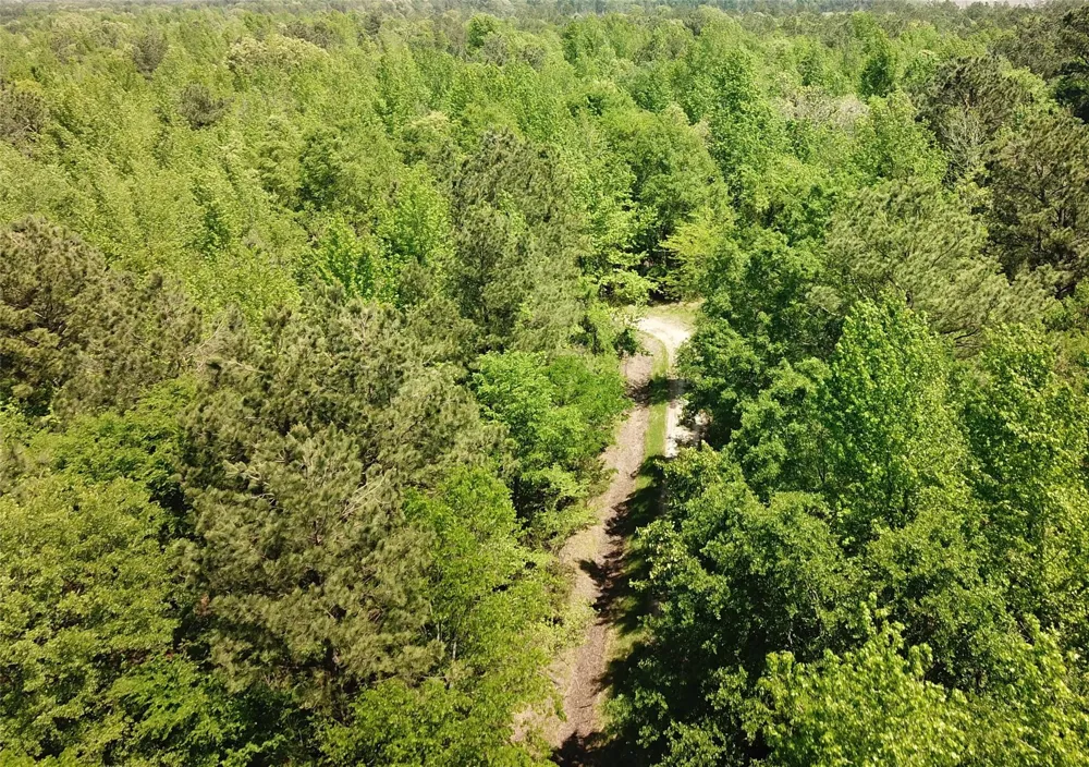 Cr 3233 E Clarksville, TX 75426
