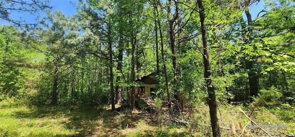 Cr 3233 E Clarksville, TX 75426