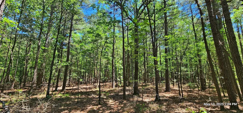 Cr 3233 E Clarksville, TX 75426