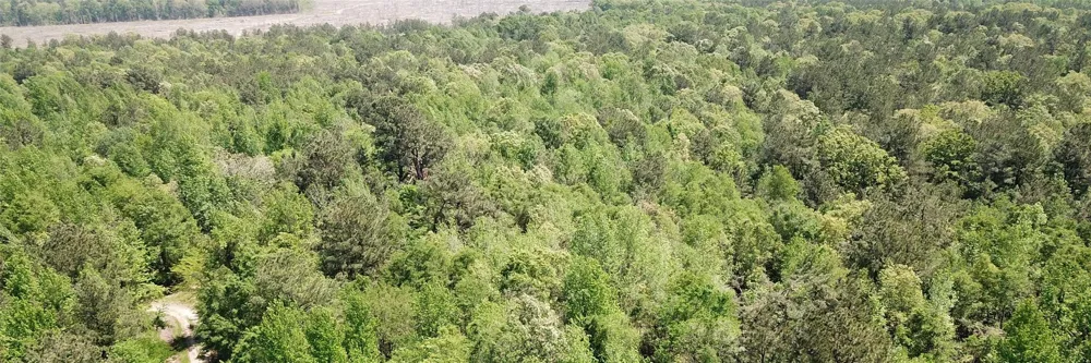 Cr 3233 E Clarksville, TX 75426