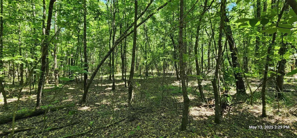 Cr 3233 E Clarksville, TX 75426