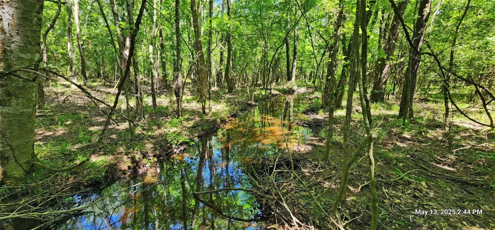 Cr 3233 East And Cr 3230 Clarksville, TX 75426
