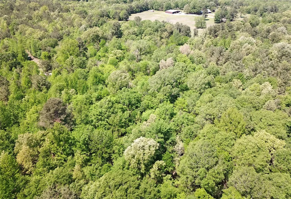 Cr 3233 East And Cr 3230 Clarksville, TX 75426