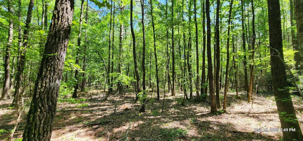 Cr 3233 East And Cr 3230 Clarksville, TX 75426