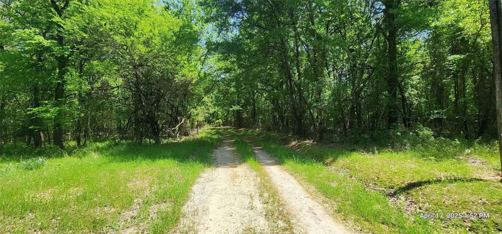 Cr 3233 East And Cr 3230 Clarksville, TX 75426