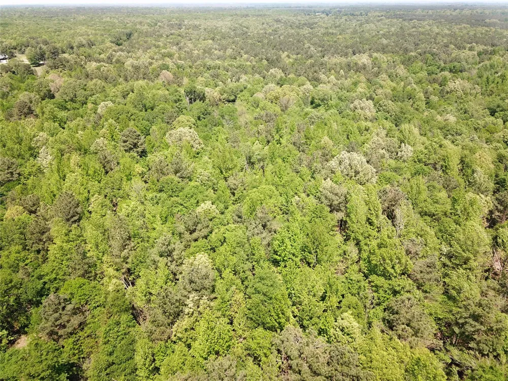 Cr 3233 East And Cr 3230 Clarksville, TX 75426
