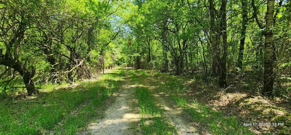 Cr 3233 East And Cr 3230 Clarksville, TX 75426