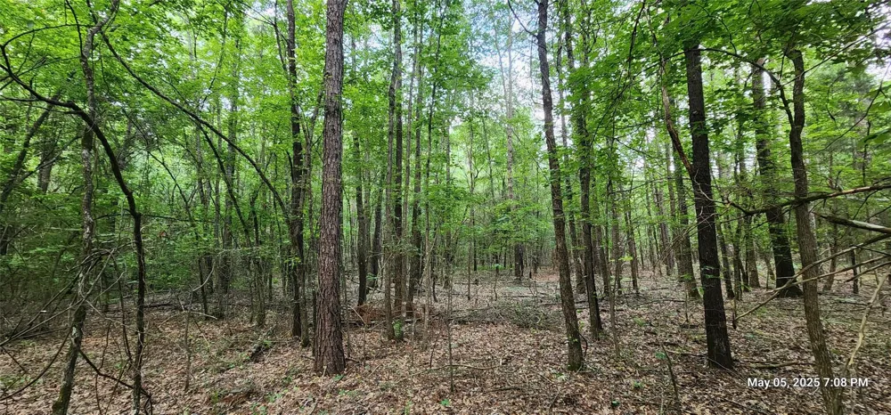 Cr 3233 East And Cr 3230 Clarksville, TX 75426