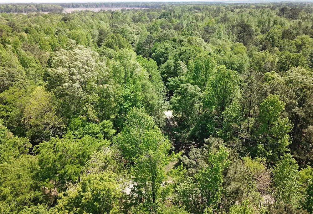 Cr 3233 East And Cr 3230 Clarksville, TX 75426