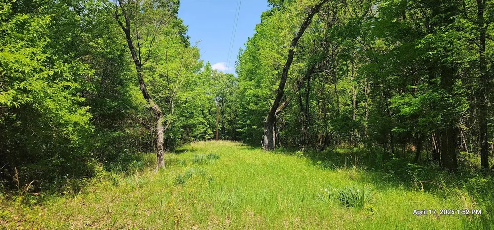 Cr 3233 East And Cr 3230 Clarksville, TX 75426
