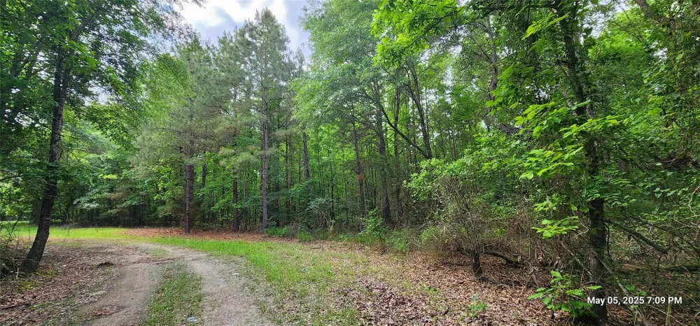 Cr 3233 East And Cr 3230 Clarksville, TX 75426