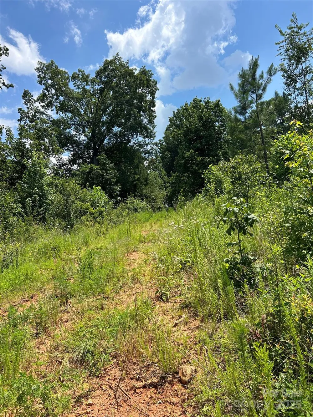 1824 Brushy Creek Road Kingstown, NC 28150