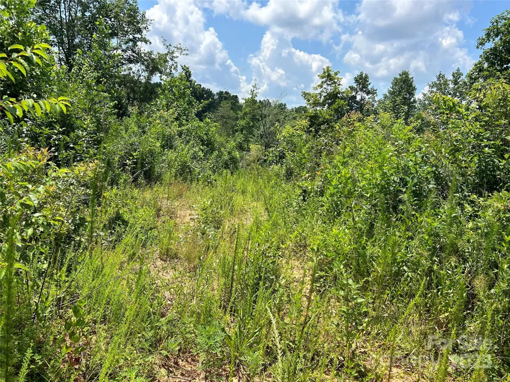 1824 Brushy Creek Road Kingstown, NC 28150