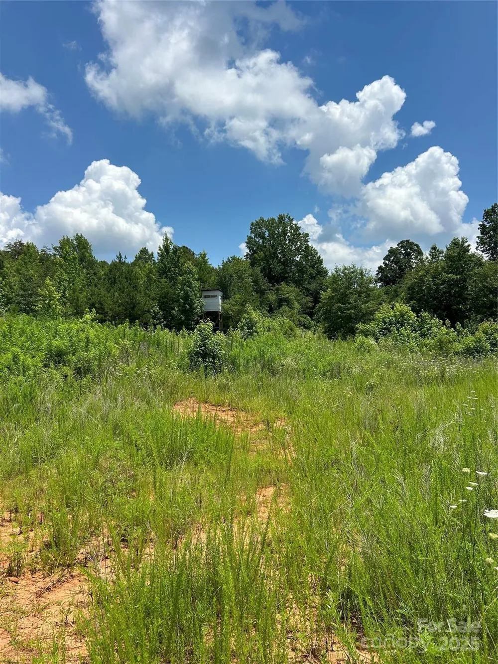 1824 Brushy Creek Road Kingstown, NC 28150