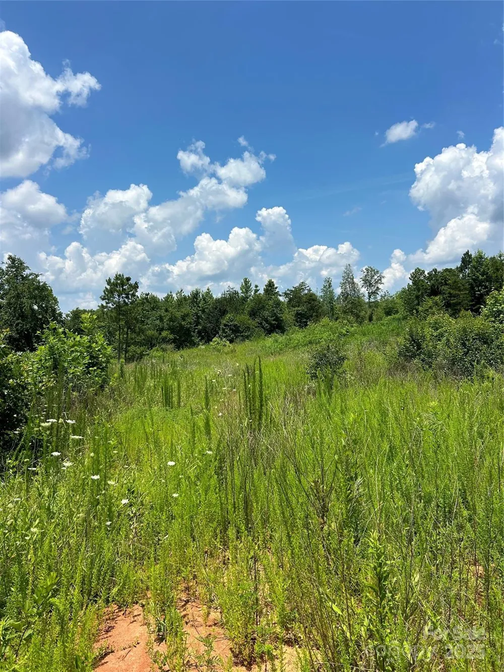 1824 Brushy Creek Road Kingstown, NC 28150