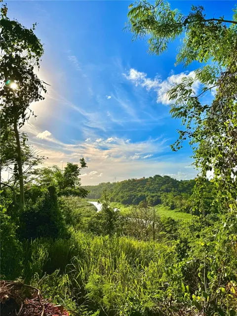 BARRIO CACAO