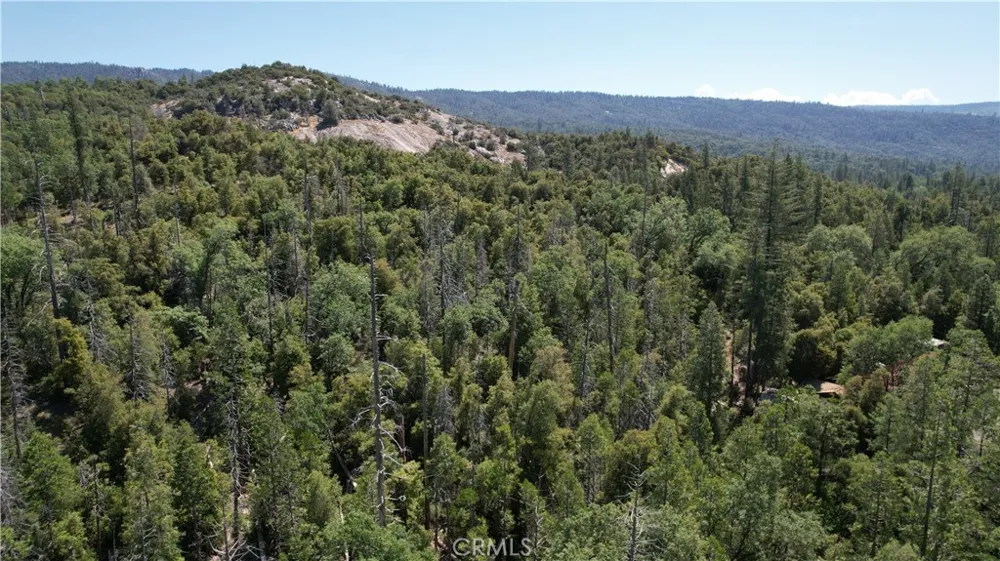 39567 E Idylwild Bass Lake, CA 93604