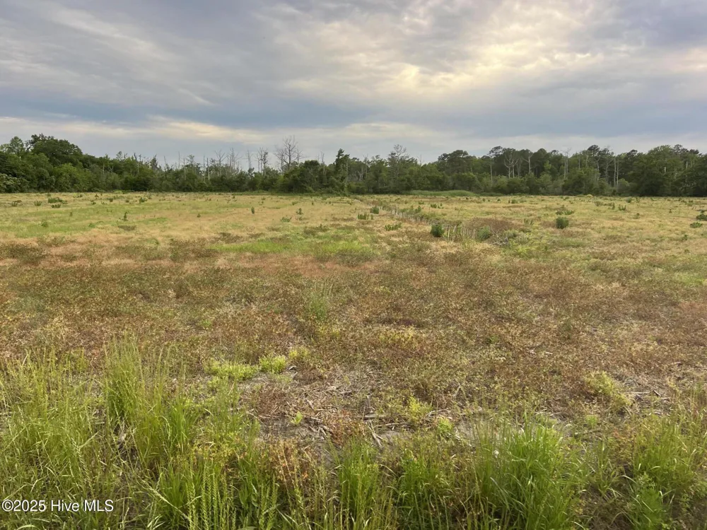 0 Sr 1918 Road Aurora, NC 27806