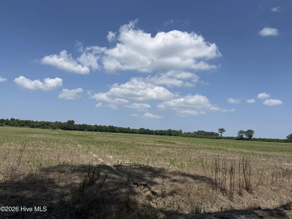 0 Sr 1918 Road Aurora, NC 27806