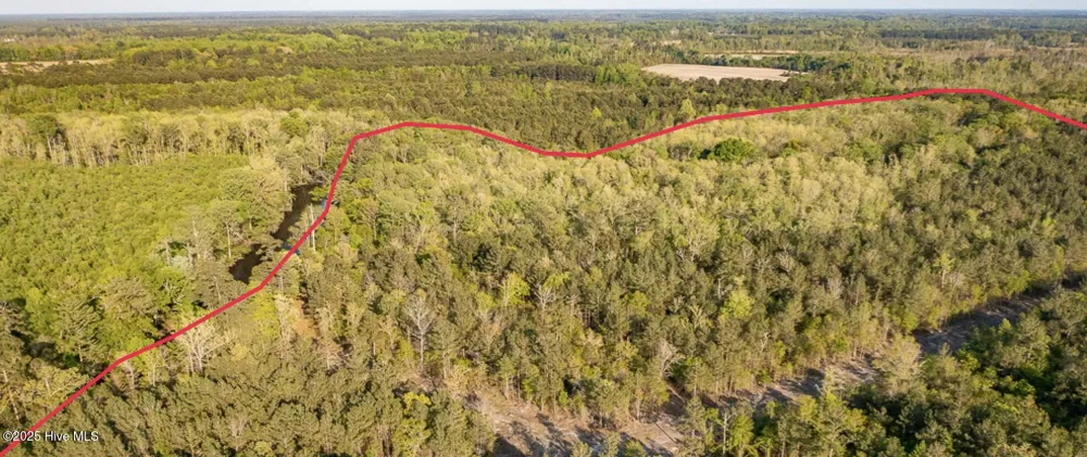 0 Streets Ferry Road Vanceboro, NC 28586