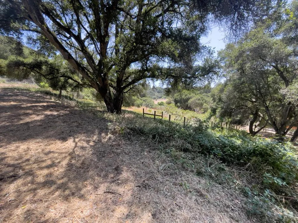 58 Desmond Road Salinas, CA 93907