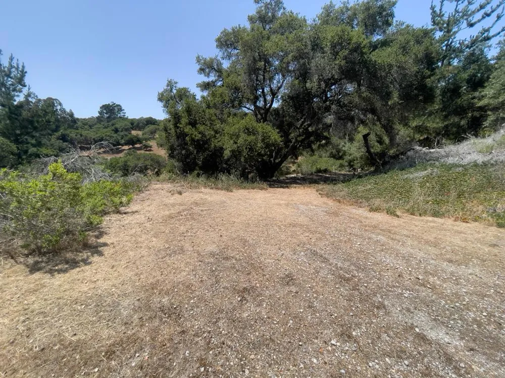 58 Desmond Road Salinas, CA 93907
