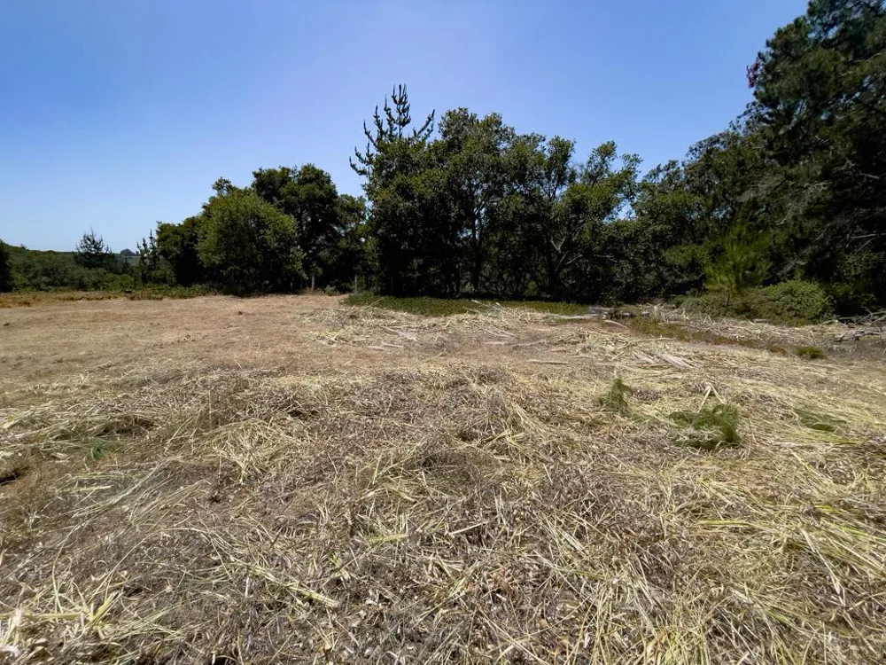 58 Desmond Road Salinas, CA 93907