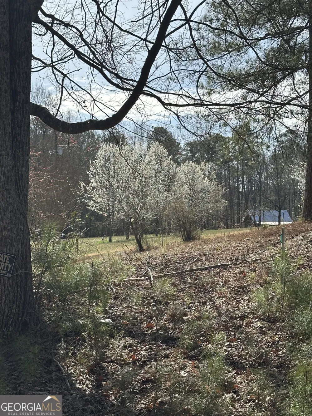 5565 Hog Mountain RD Flowery Branch, GA 30542