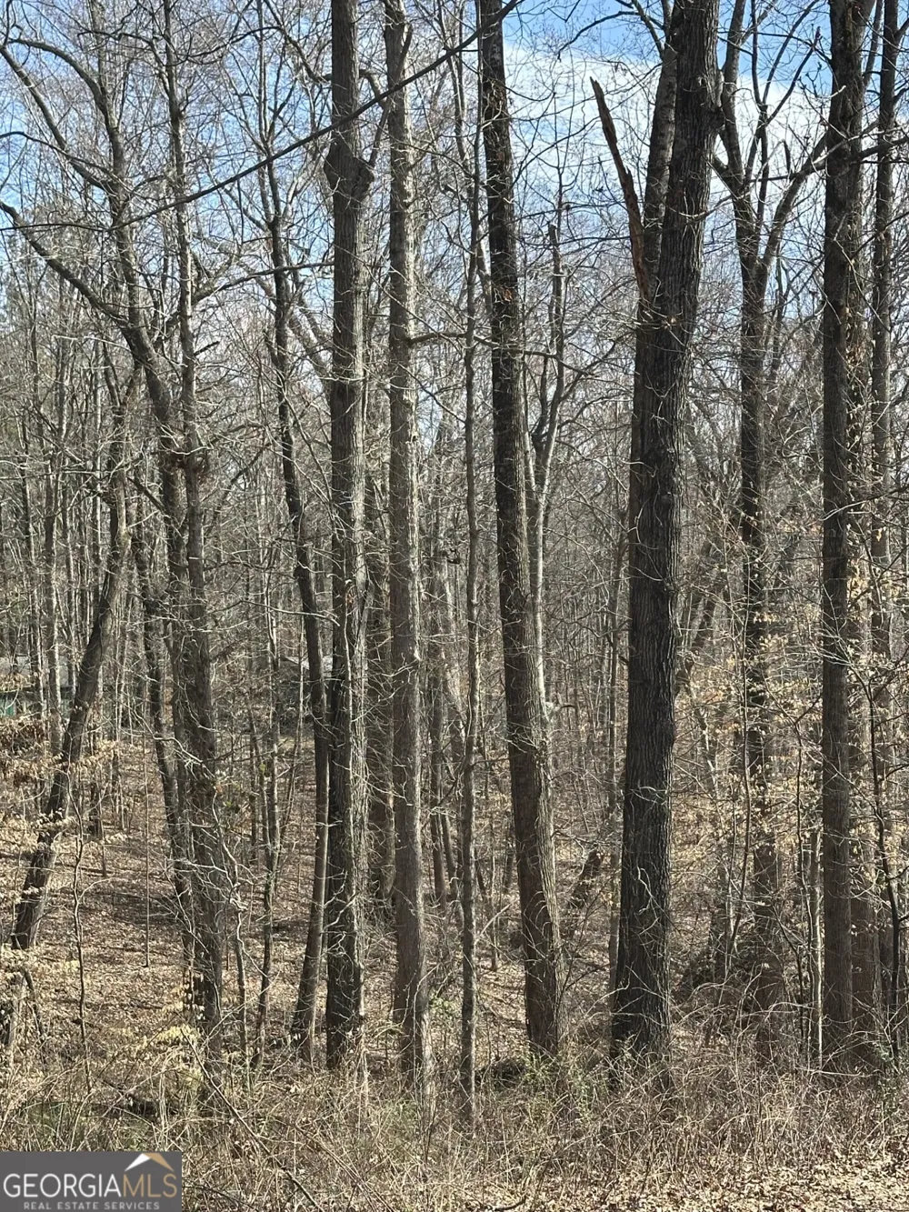 5565 Hog Mountain RD Flowery Branch, GA 30542