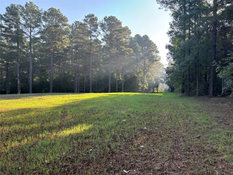 Old Plain Dealing Road