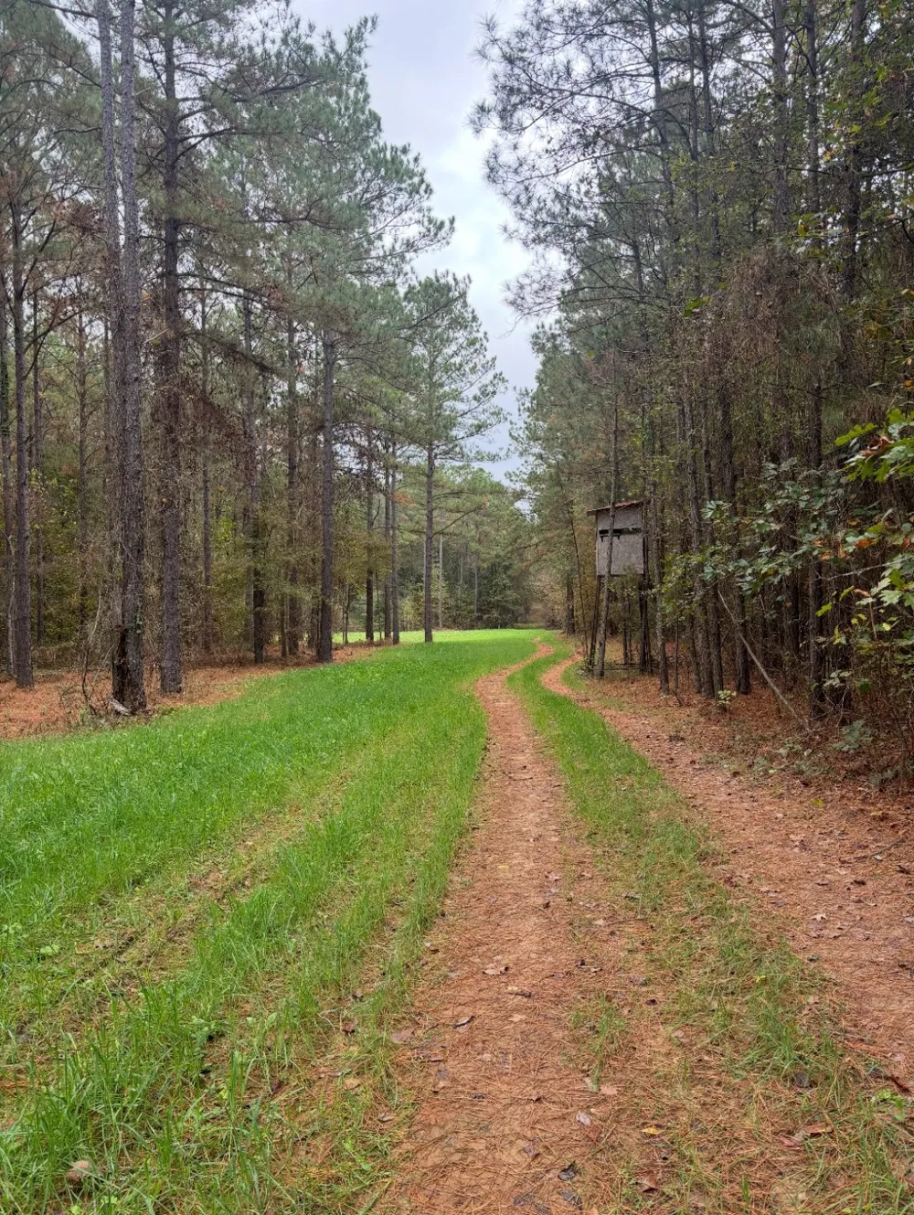 Old Plain Dealing Road Benton, LA 71006