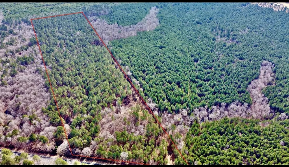 Old Plain Dealing Road Benton, LA 71006