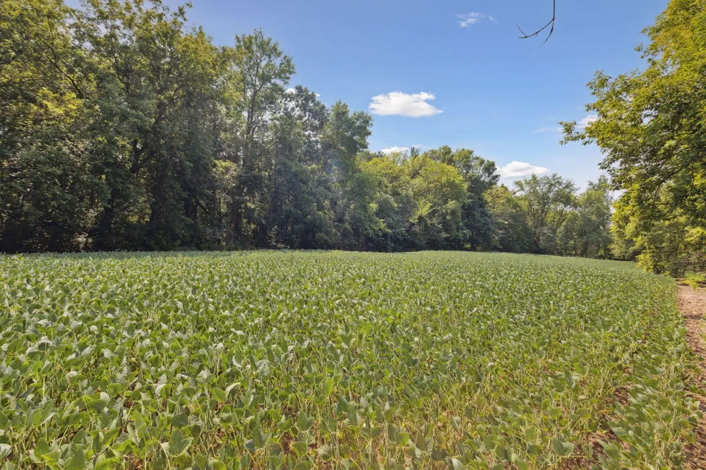 24x1 Holy Name Drive Medina, MN 55340