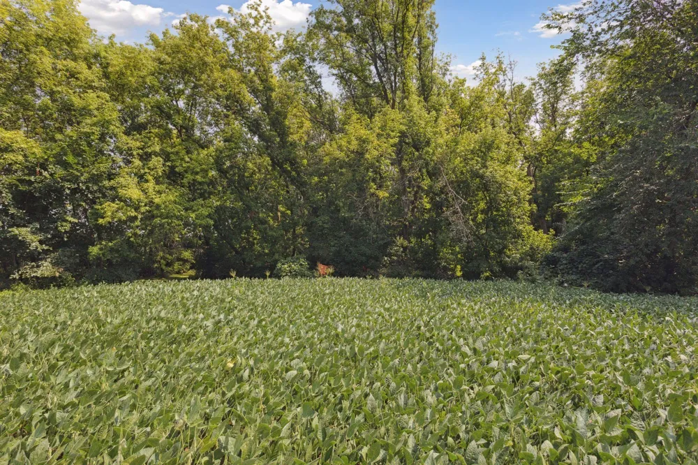 24x1 Holy Name Drive Medina, MN 55340
